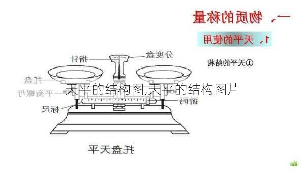 天平的结构图,天平的结构图片