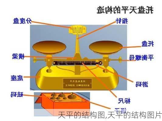 天平的结构图,天平的结构图片