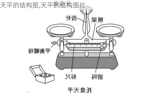 天平的结构图,天平的结构图片