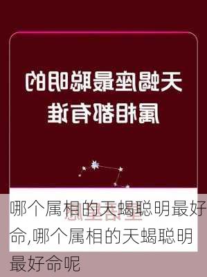 哪个属相的天蝎聪明最好命,哪个属相的天蝎聪明最好命呢