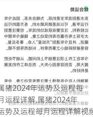 属猪2024年运势及运程每月运程详解,属猪2024年运势及运程每月运程详解视频