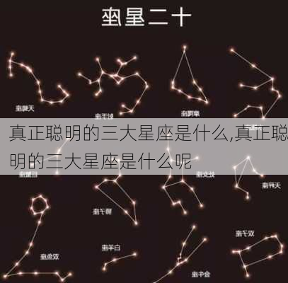 真正聪明的三大星座是什么,真正聪明的三大星座是什么呢