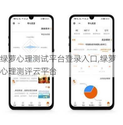 绿萝心理测试平台登录入口,绿萝心理测评云平台