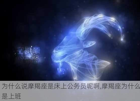 为什么说摩羯座是床上公务员呢啊,摩羯座为什么是上班