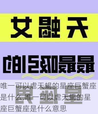 唯一可以虐天蝎的星座巨蟹座是什么,唯一可以虐天蝎的星座巨蟹座是什么意思