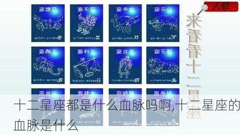 十二星座都是什么血脉吗啊,十二星座的血脉是什么