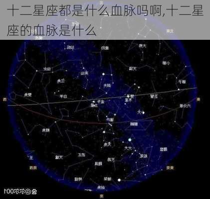 十二星座都是什么血脉吗啊,十二星座的血脉是什么