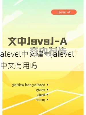 alevel中文编号,alevel中文有用吗