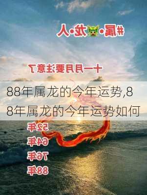 88年属龙的今年运势,88年属龙的今年运势如何