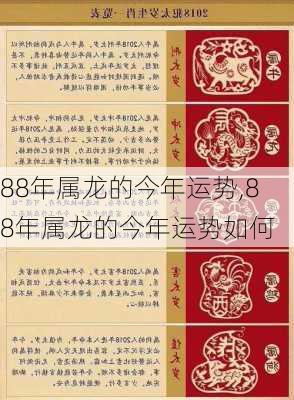 88年属龙的今年运势,88年属龙的今年运势如何