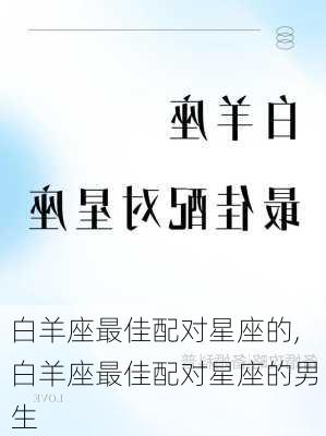 白羊座最佳配对星座的,白羊座最佳配对星座的男生