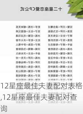 12星座最佳夫妻配对表格,12星座最佳夫妻配对查询