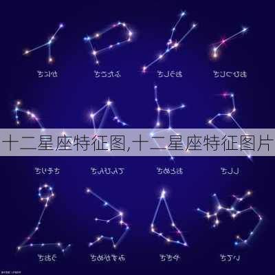 十二星座特征图,十二星座特征图片