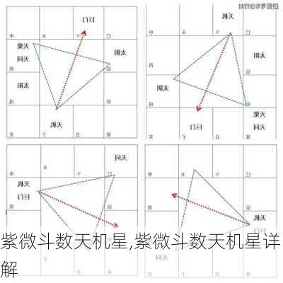 紫微斗数天机星,紫微斗数天机星详解