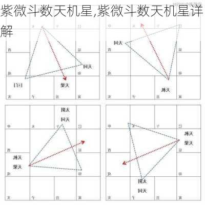 紫微斗数天机星,紫微斗数天机星详解