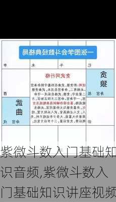 紫微斗数入门基础知识音频,紫微斗数入门基础知识讲座视频