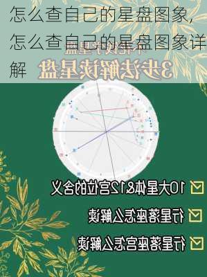 怎么查自己的星盘图象,怎么查自己的星盘图象详解