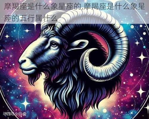 摩羯座是什么象星座的,摩羯座是什么象星座的五行属什么