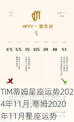 TIM蒂姆星座运势2024年11月,蒂姆2020年11月星座运势