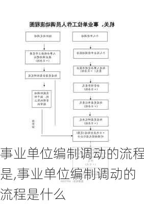 事业单位编制调动的流程是,事业单位编制调动的流程是什么