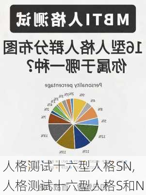 人格测试十六型人格SN,人格测试十六型人格S和N