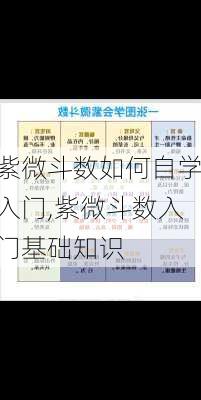 紫微斗数如何自学入门,紫微斗数入门基础知识