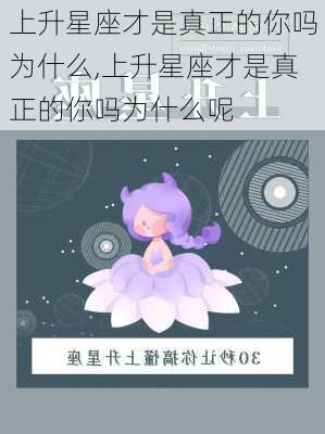 上升星座才是真正的你吗为什么,上升星座才是真正的你吗为什么呢