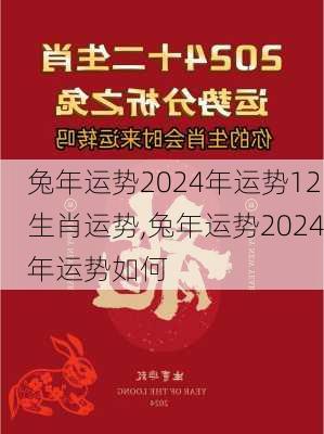 兔年运势2024年运势12生肖运势,兔年运势2024年运势如何