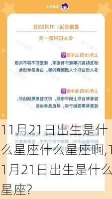 11月21日出生是什么星座什么星座啊,11月21日出生是什么星座?