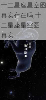 十二星座星空图真实存在吗,十二星座星空图 真实