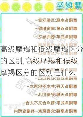 高级摩羯和低级摩羯区分的区别,高级摩羯和低级摩羯区分的区别是什么