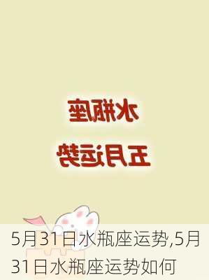 5月31日水瓶座运势,5月31日水瓶座运势如何