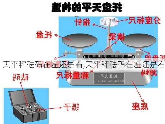 天平秤砝码在左还是右,天平秤砝码在左还是右