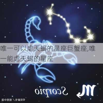 唯一可以虐天蝎的星座巨蟹座,唯一能虐天蝎的星座