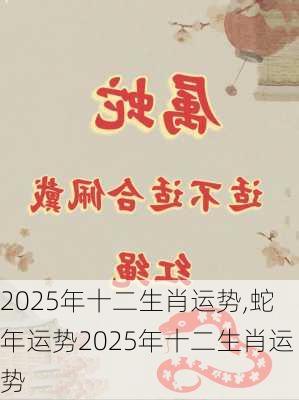 2025年十二生肖运势,蛇年运势2025年十二生肖运势