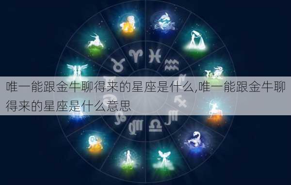 唯一能跟金牛聊得来的星座是什么,唯一能跟金牛聊得来的星座是什么意思