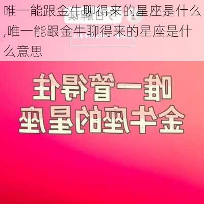 唯一能跟金牛聊得来的星座是什么,唯一能跟金牛聊得来的星座是什么意思