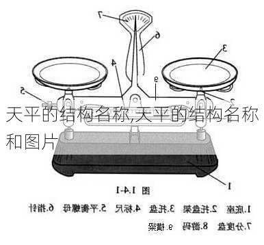 天平的结构名称,天平的结构名称和图片