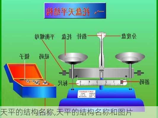 天平的结构名称,天平的结构名称和图片