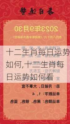 十二生肖每日运势如何,十二生肖每日运势如何看