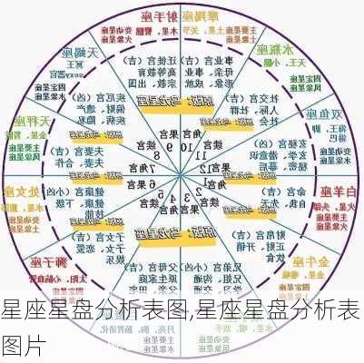 星座星盘分析表图,星座星盘分析表图片