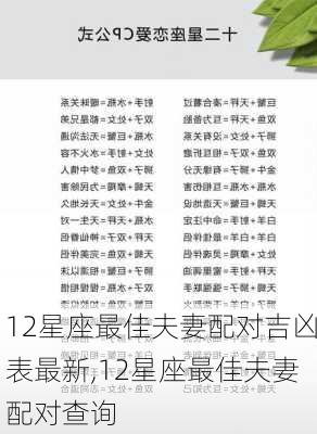 12星座最佳夫妻配对吉凶表最新,12星座最佳夫妻配对查询