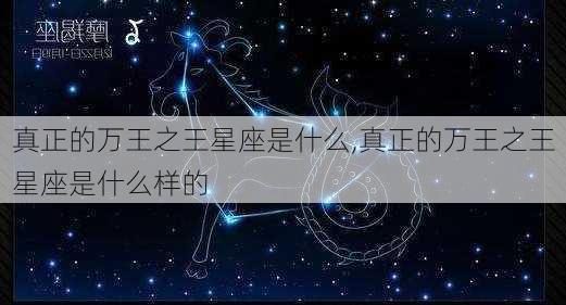 真正的万王之王星座是什么,真正的万王之王星座是什么样的