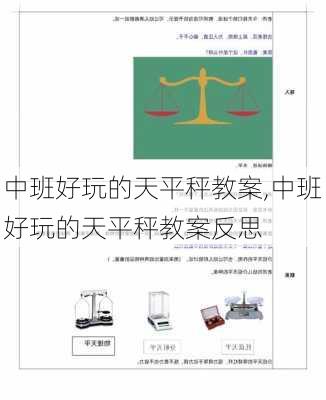 中班好玩的天平秤教案,中班好玩的天平秤教案反思