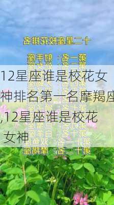 12星座谁是校花女神排名第一名摩羯座,12星座谁是校花 女神