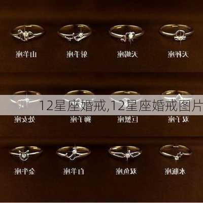 12星座婚戒,12星座婚戒图片