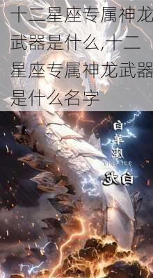 十二星座专属神龙武器是什么,十二星座专属神龙武器是什么名字