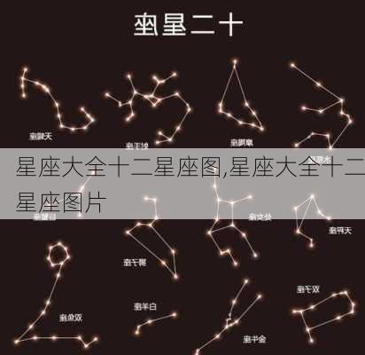 星座大全十二星座图,星座大全十二星座图片