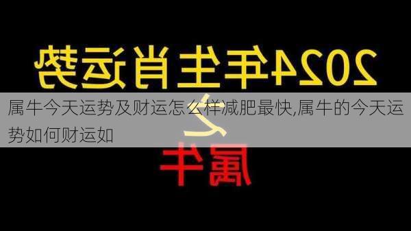 属牛今天运势及财运怎么样减肥最快,属牛的今天运势如何财运如