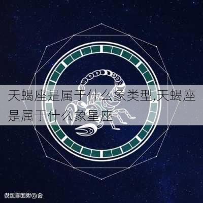 天蝎座是属于什么象类型,天蝎座是属于什么象星座